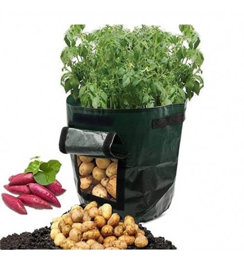Miniatuur 10