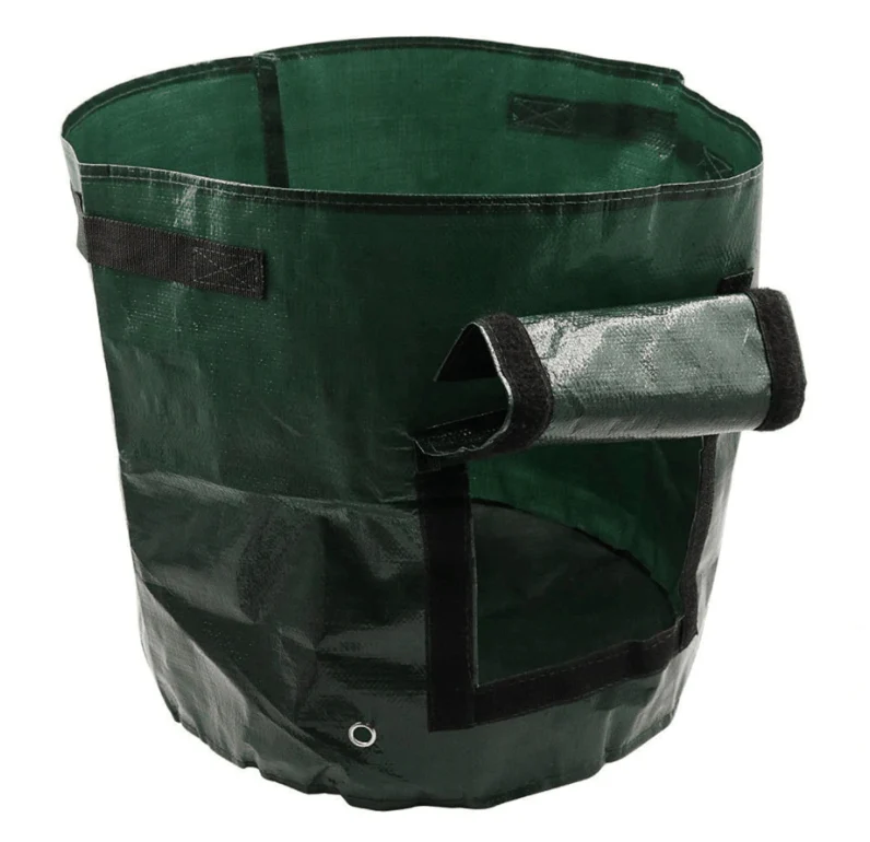 Miniatuur 7
