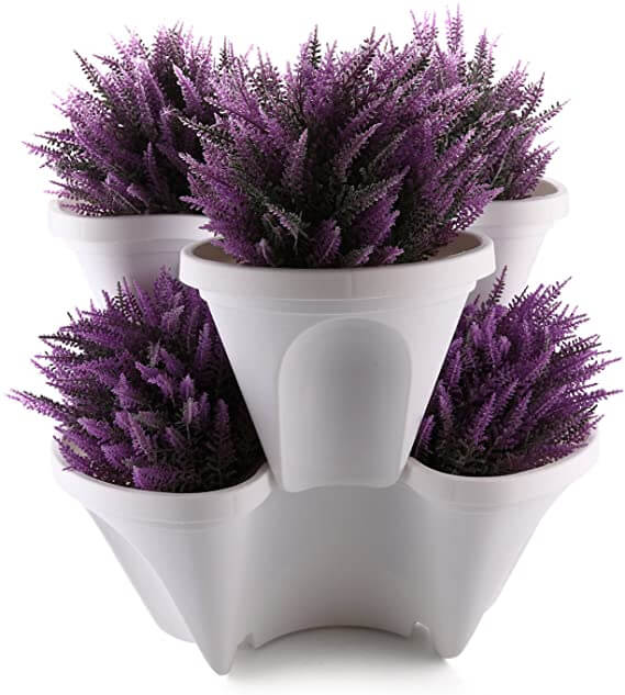 Miniatuur 12