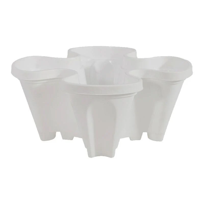 Miniatuur 4