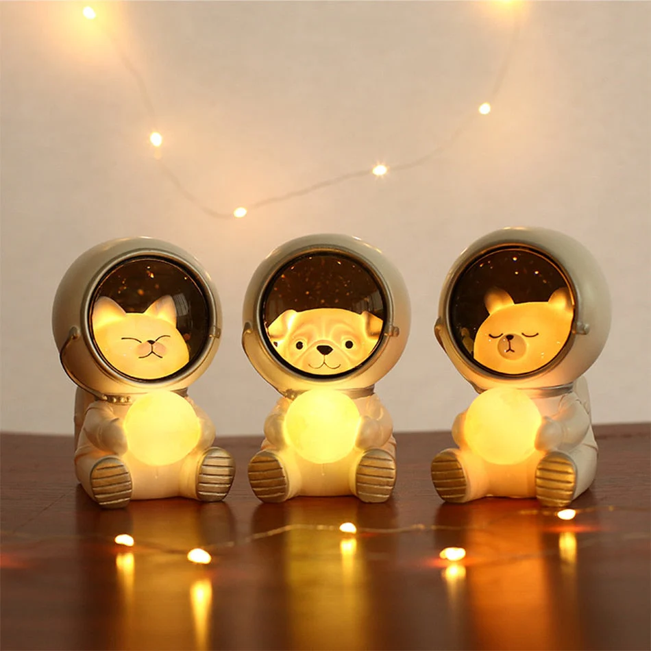 Miniatuur 6