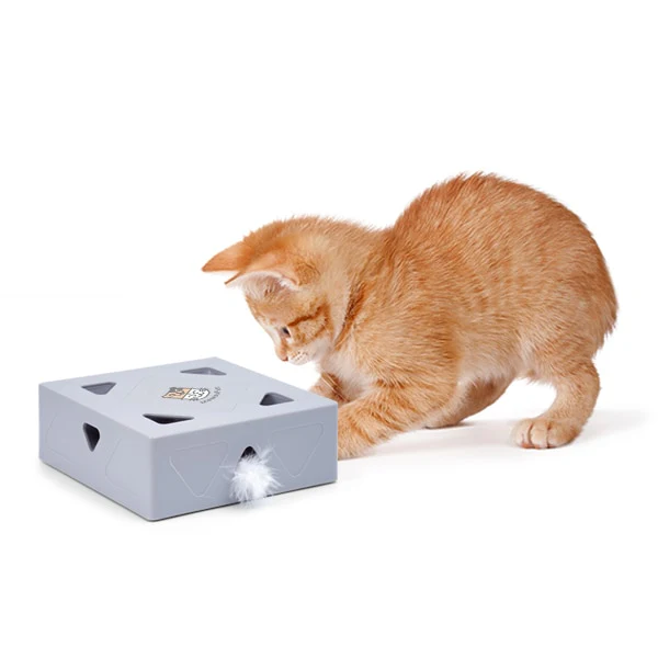Miniatuur 4