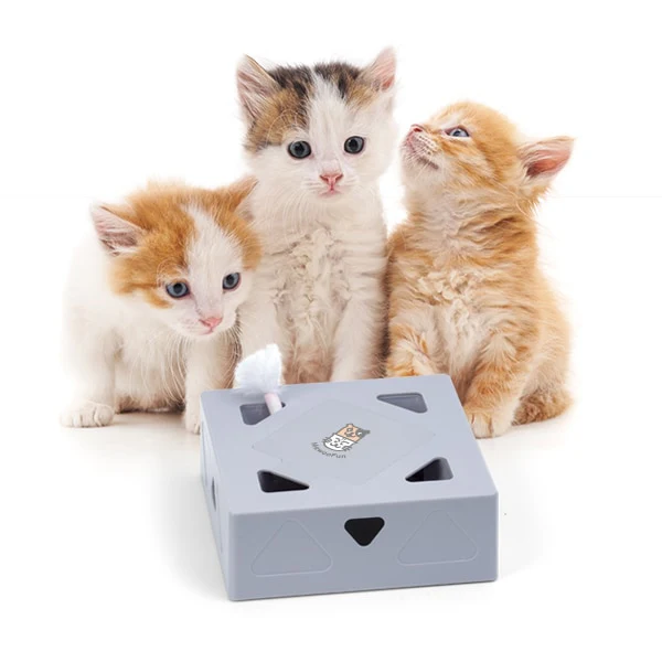 Miniatuur 8