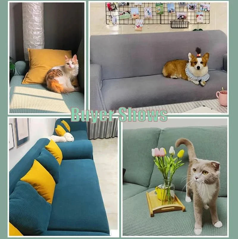 Miniatuur 5