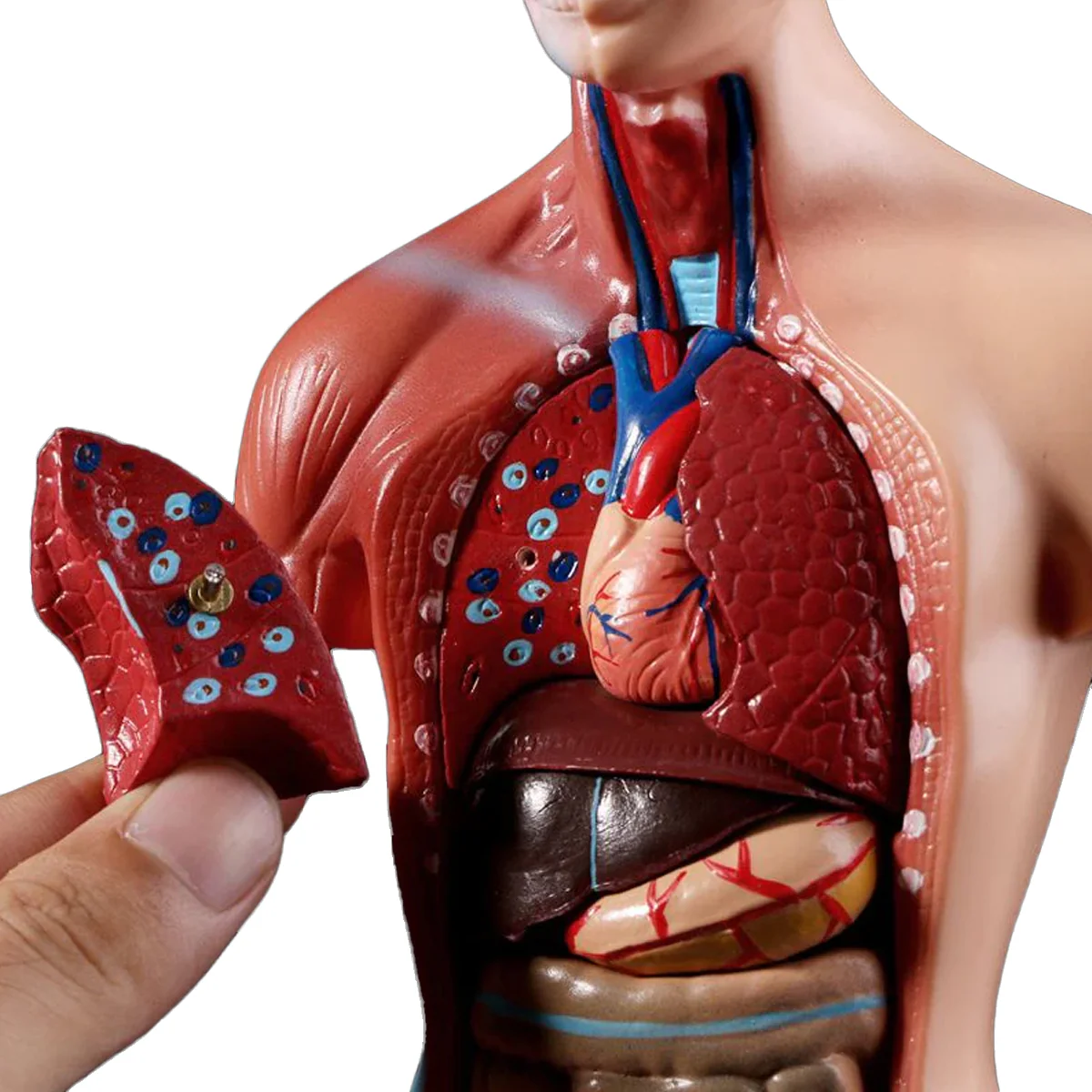 Productafbeelding 1