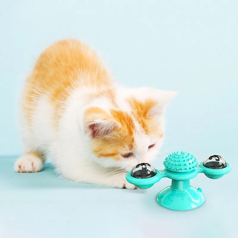 Miniatuur 3