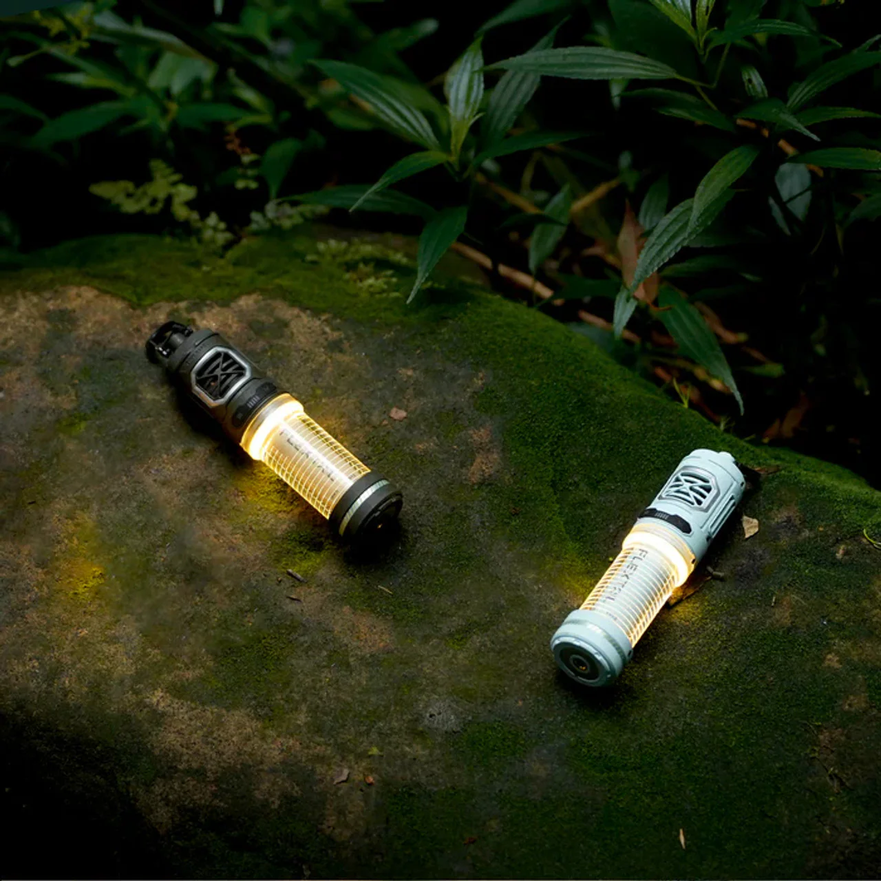 Miniatuur 3
