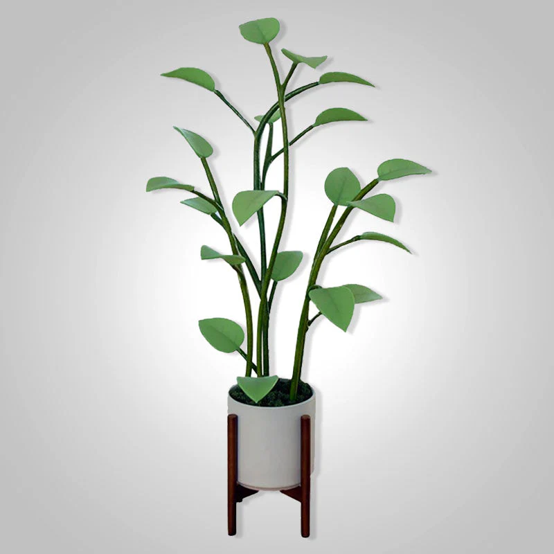 Miniatuur 8