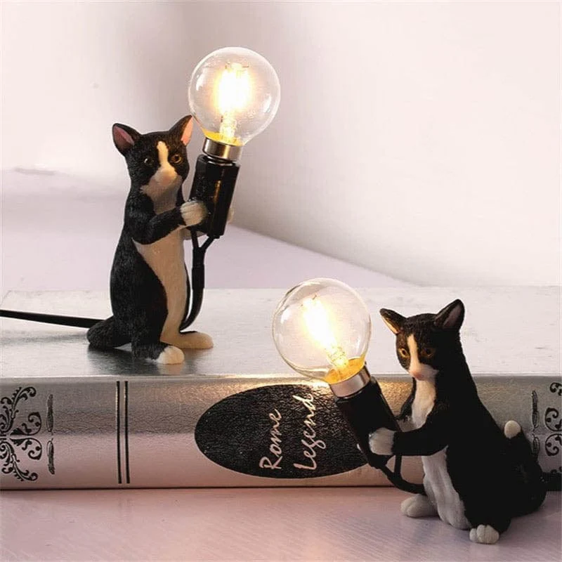 Miniatuur 3