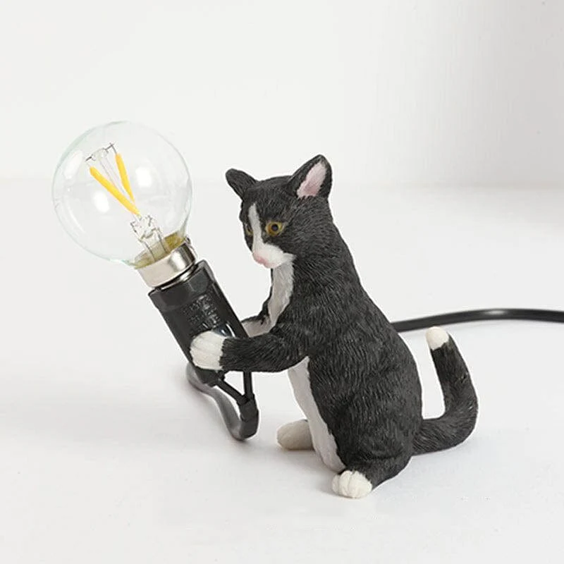 Miniatuur 5