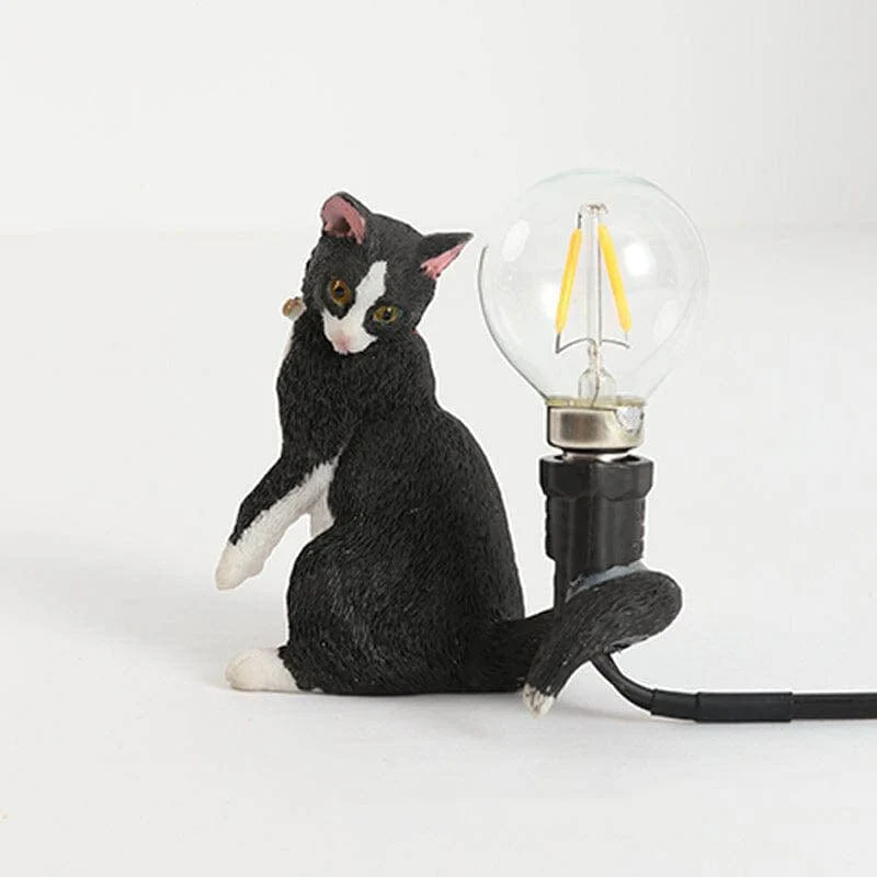 Miniatuur 7