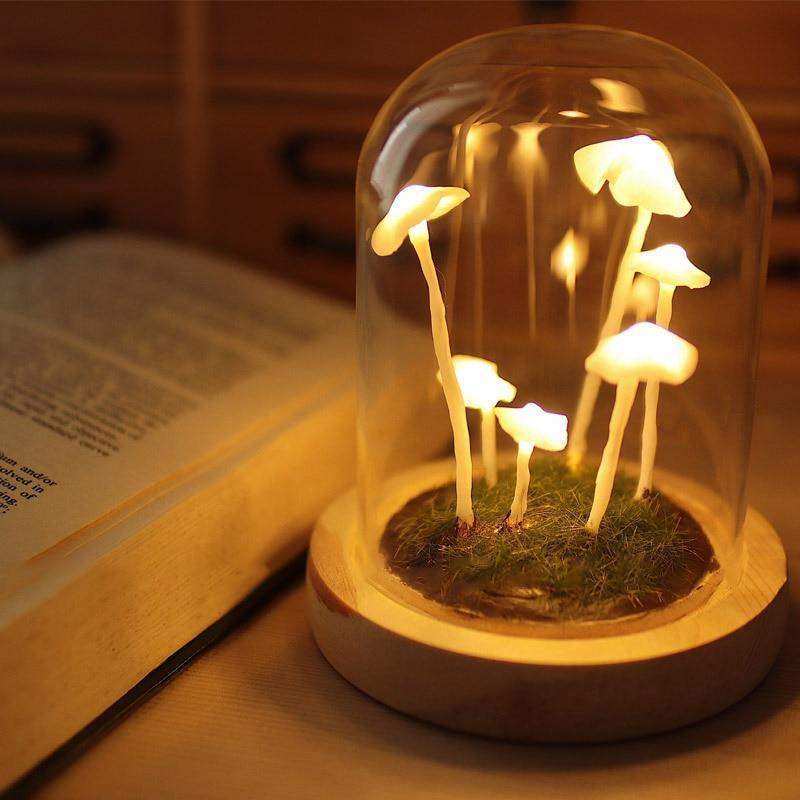 Miniatuur 2