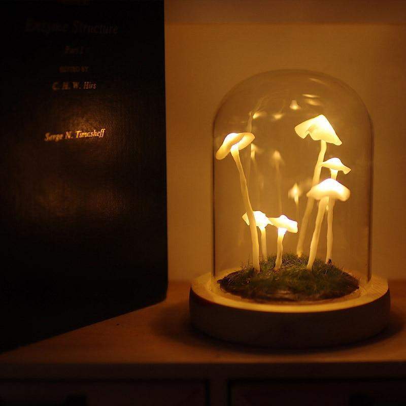 Miniatuur 3