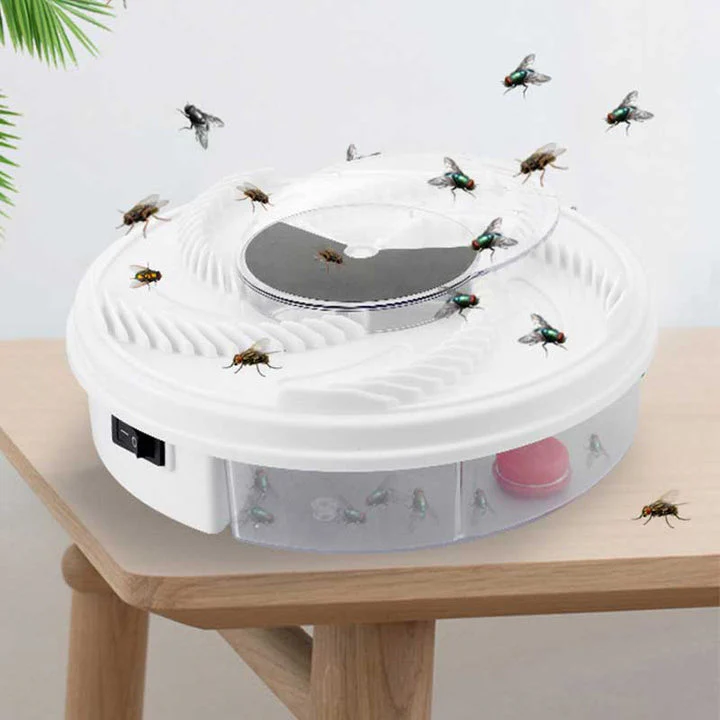 Miniatuur 2