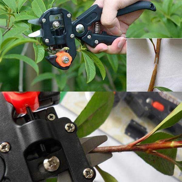 Miniatuur 8