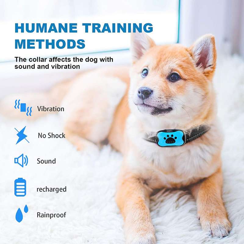 Miniatuur 3