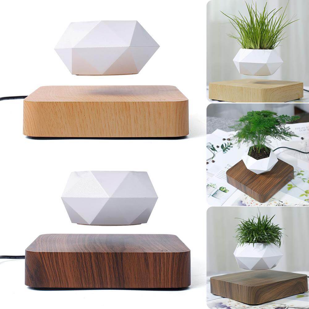 Miniatuur 1