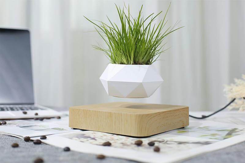 Miniatuur 10