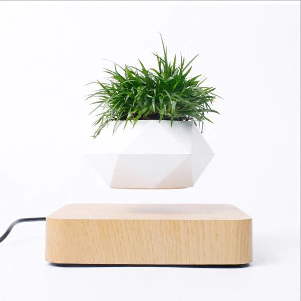 Miniatuur 11