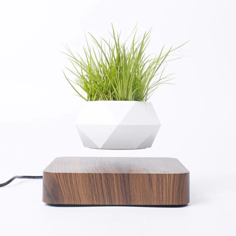 Miniatuur 2