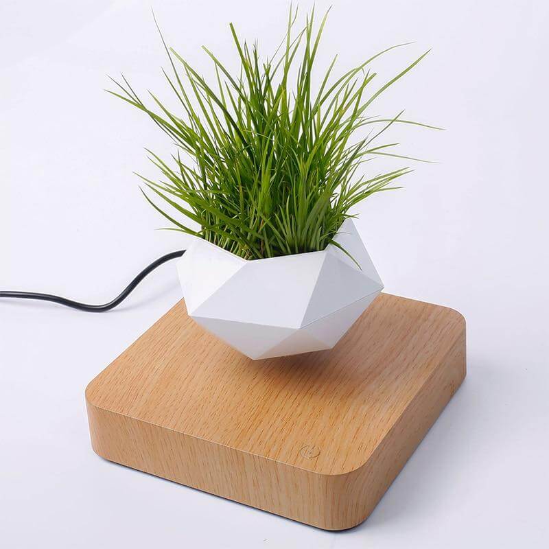 Miniatuur 4