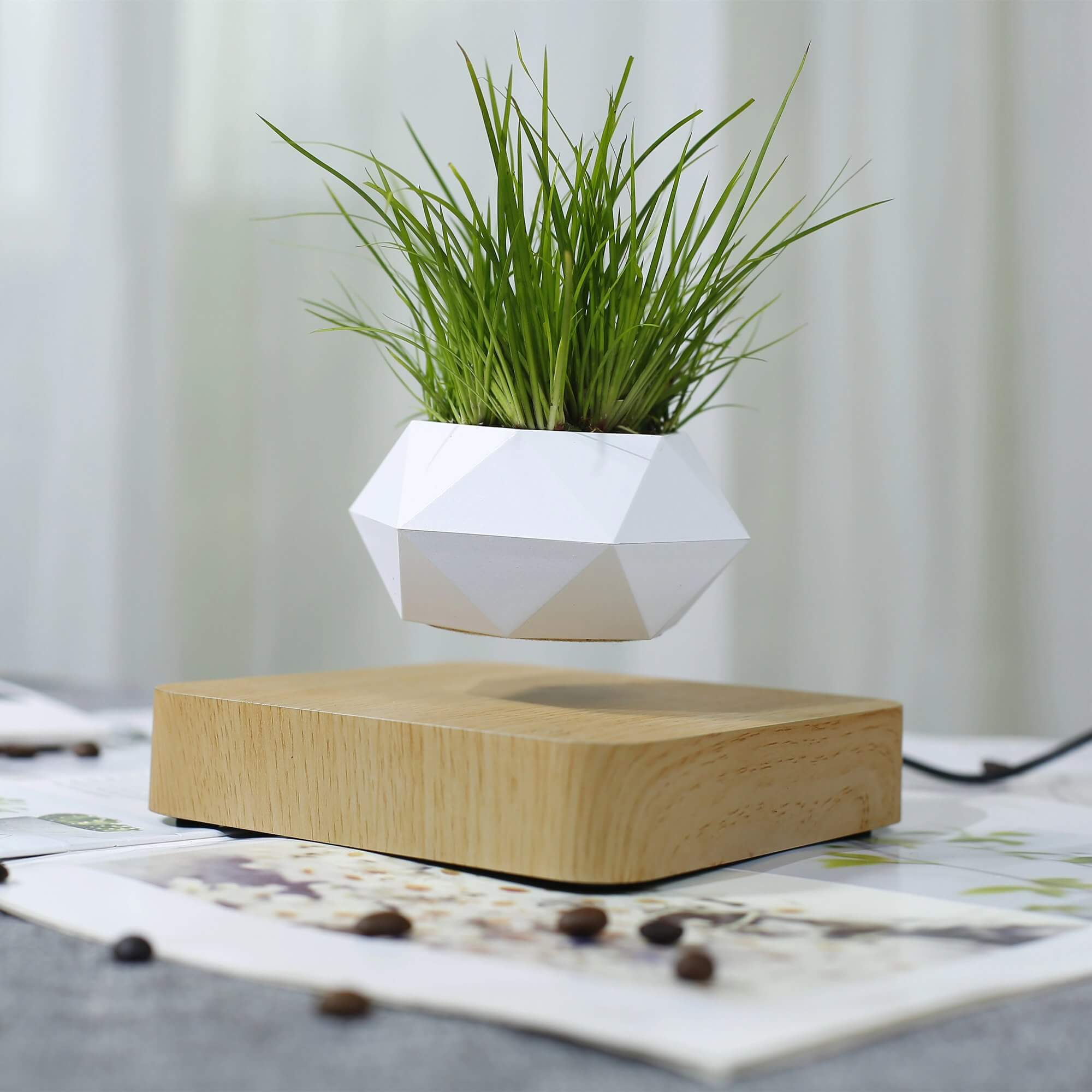 Miniatuur 6