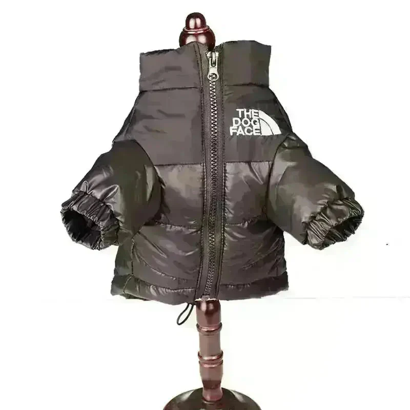 Miniatuur 4