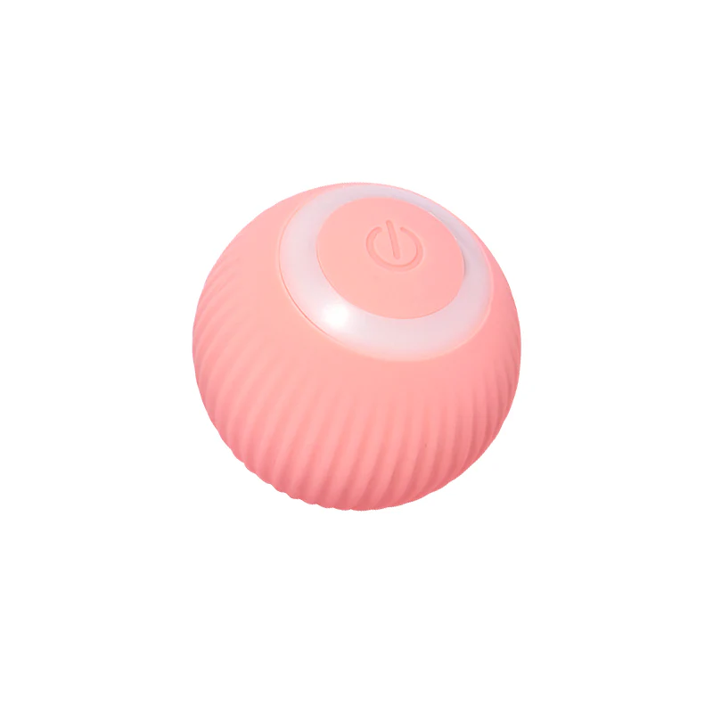 Miniatuur 2