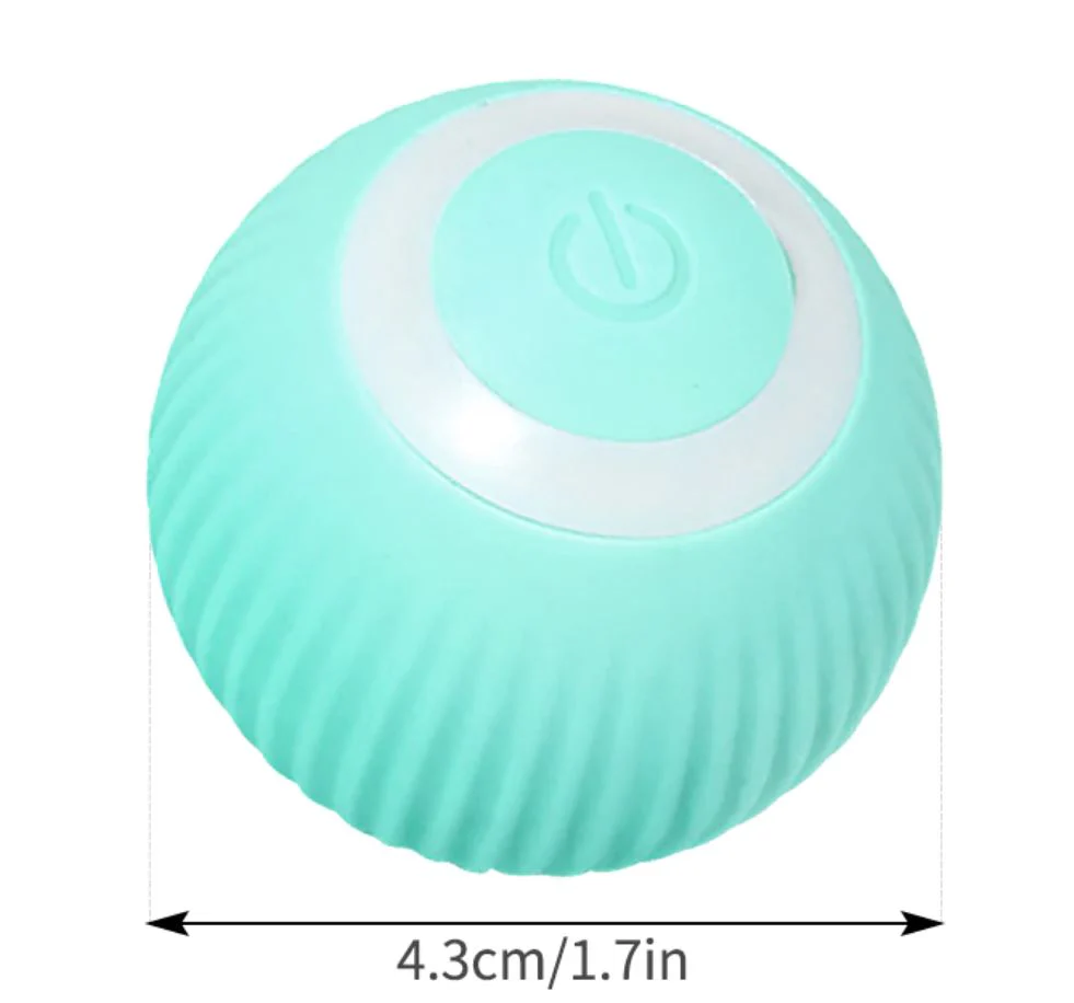 Miniatuur 7