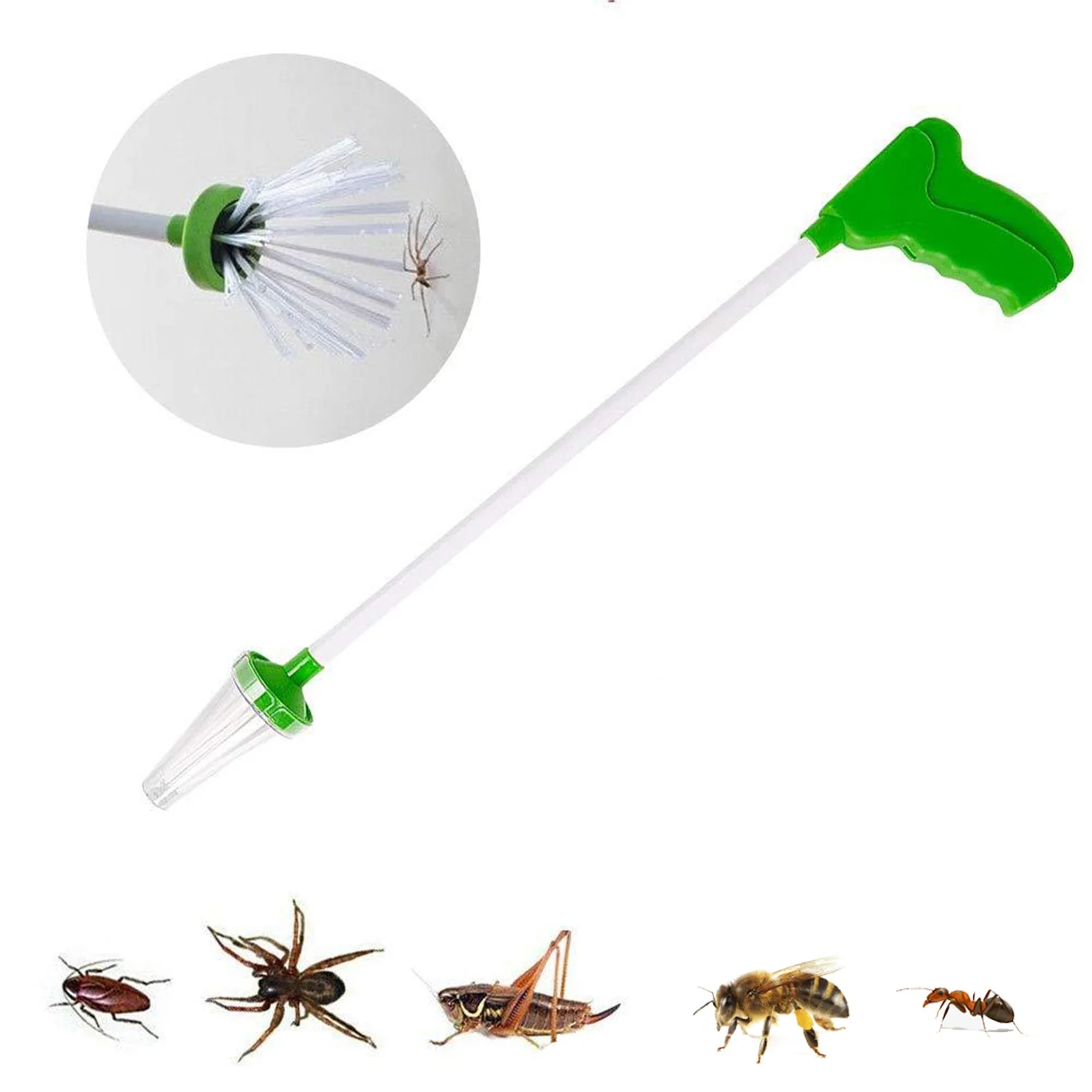 Miniatuur 6