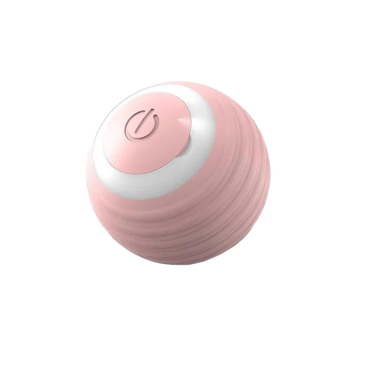 Miniatuur 13