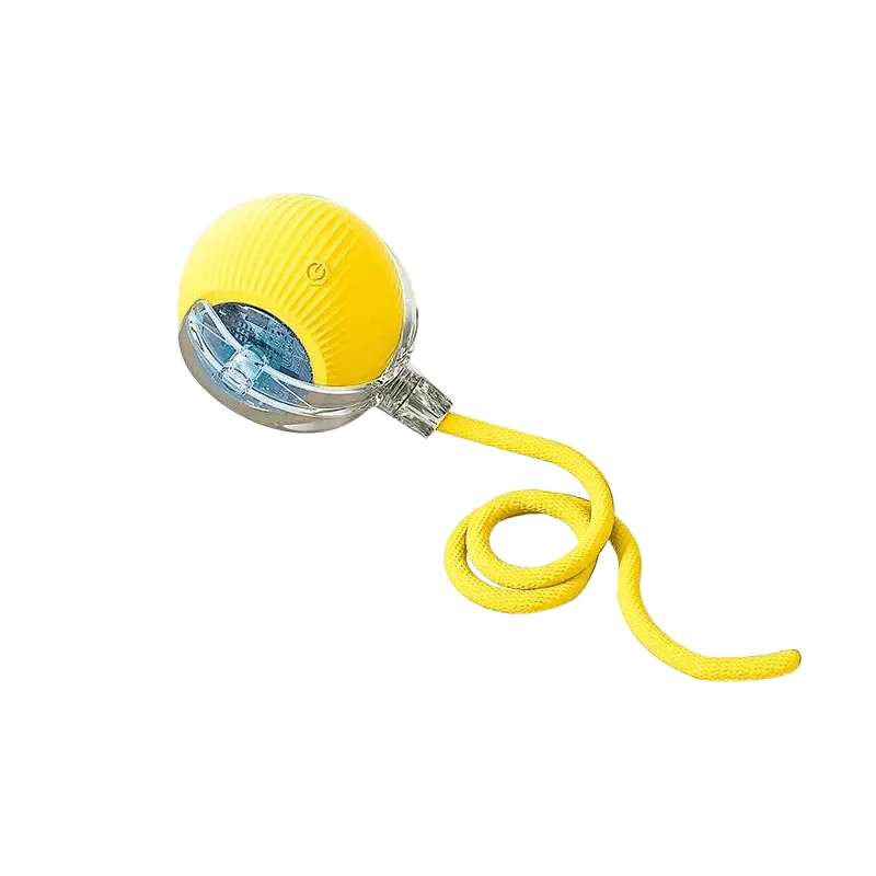Miniatuur 15