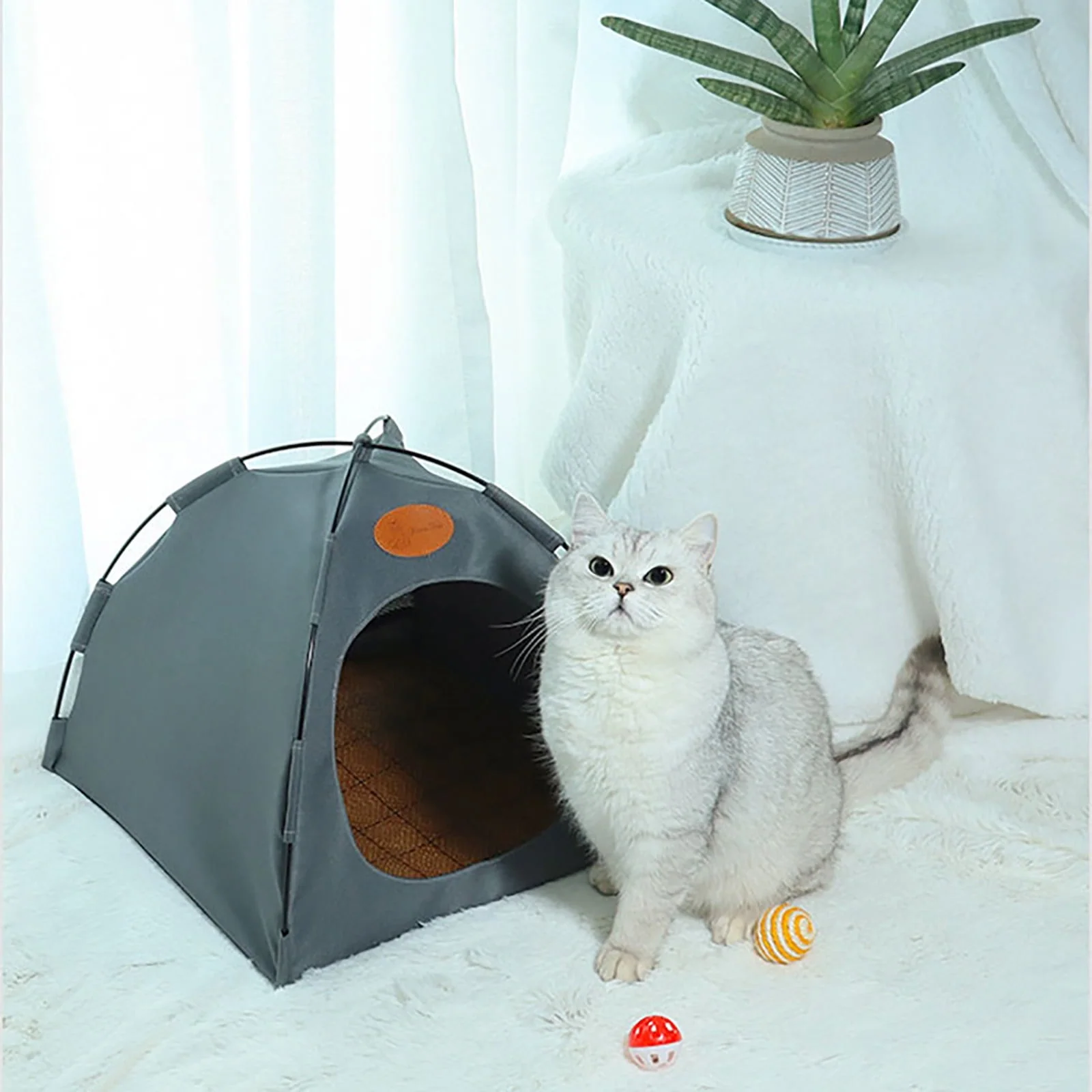 Miniatuur 7