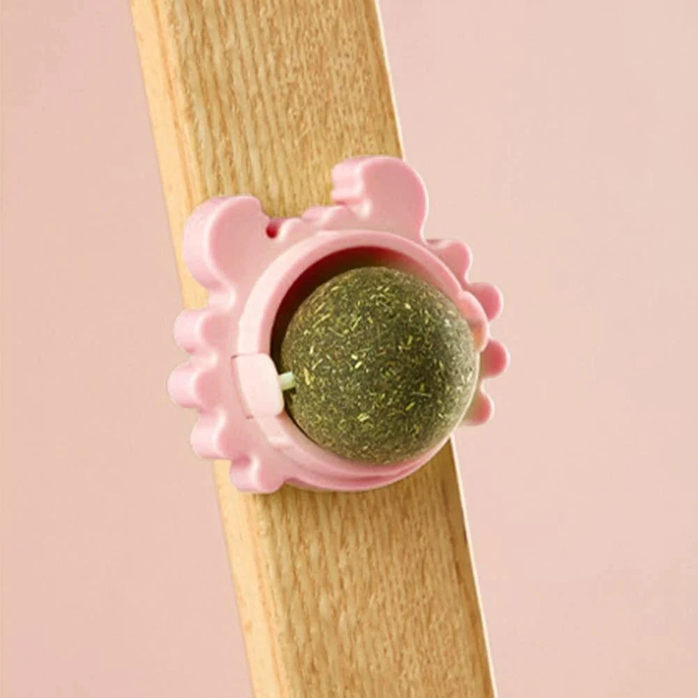 Miniatuur 3