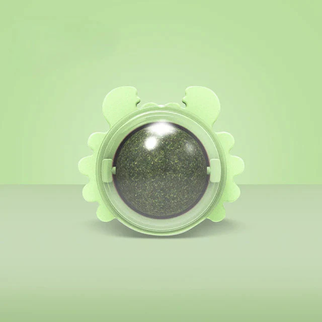 Miniatuur 5