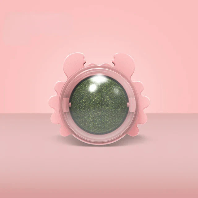Miniatuur 7