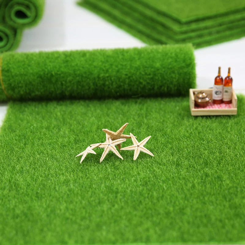 Miniatuur 3