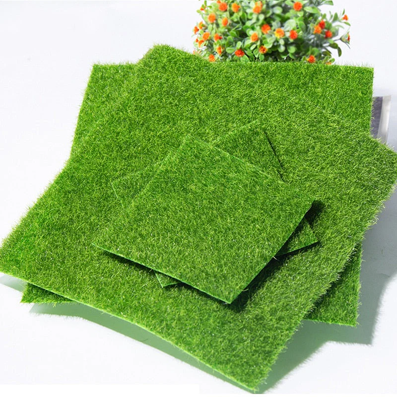 Miniatuur 5