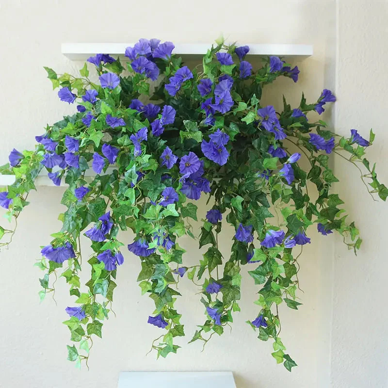 Miniatuur 3