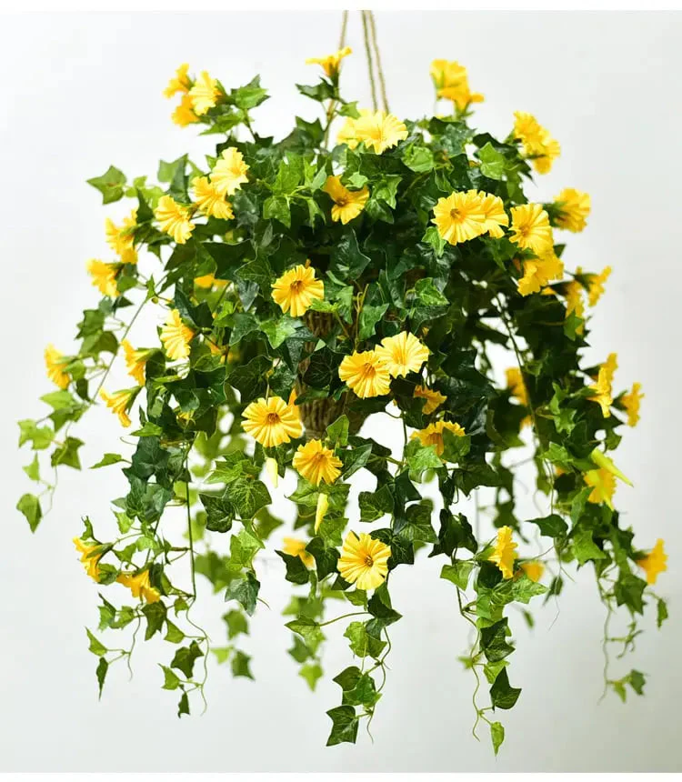 Miniatuur 4