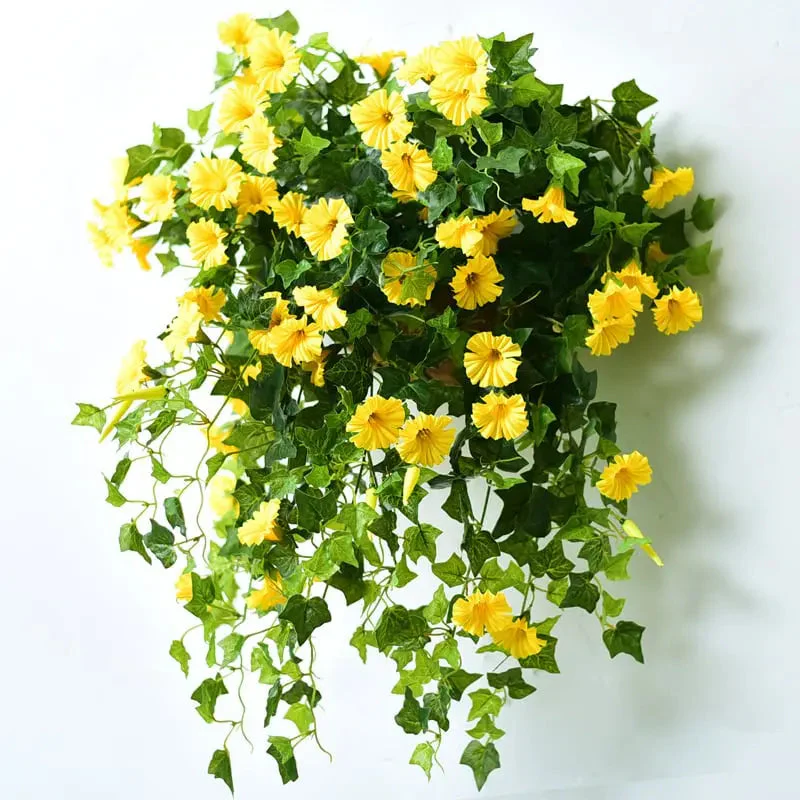 Miniatuur 5
