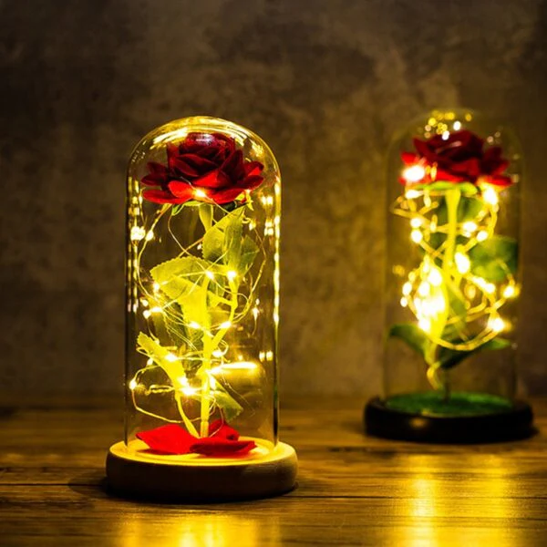 Miniatuur 4