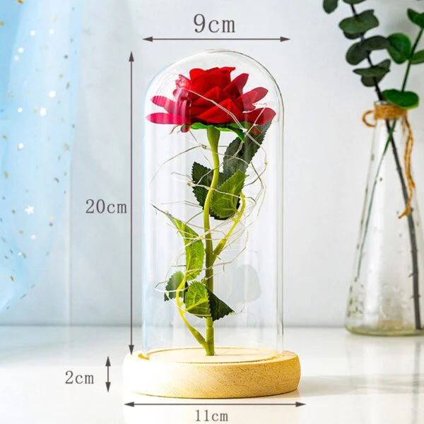 Miniatuur 7