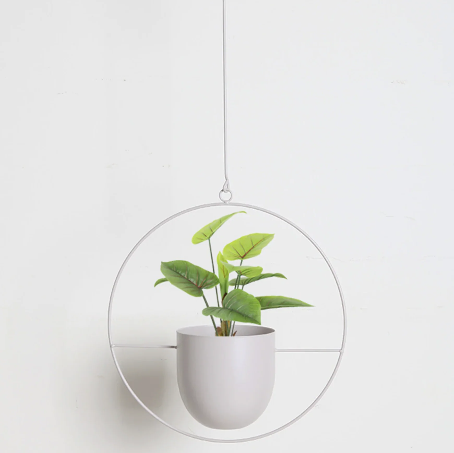 Miniatuur 6