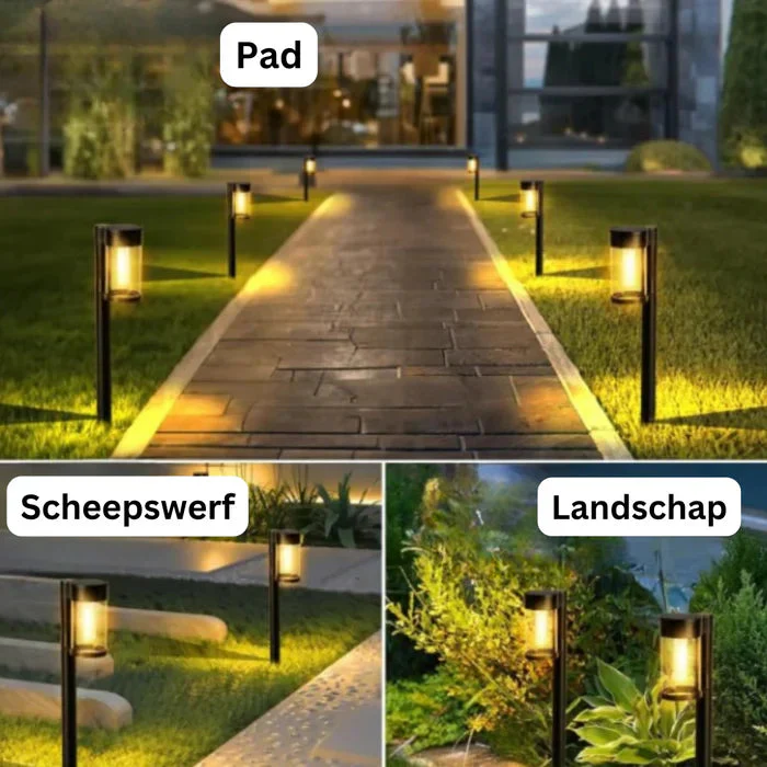 Miniatuur 2