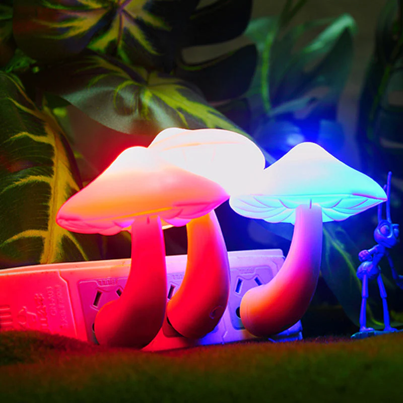 Miniatuur 6