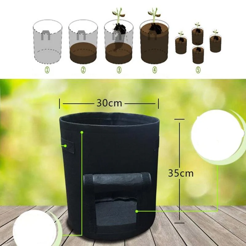 Miniatuur 3