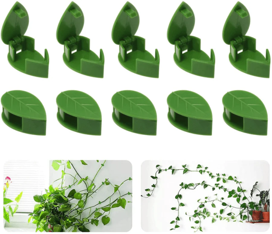 Miniatuur 10