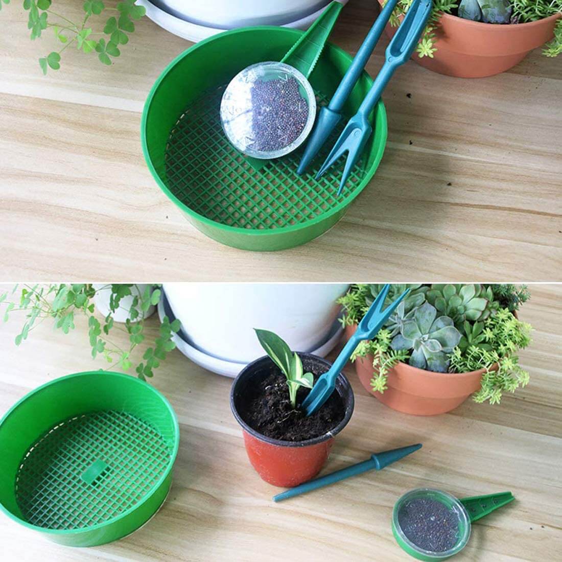 Miniatuur 2