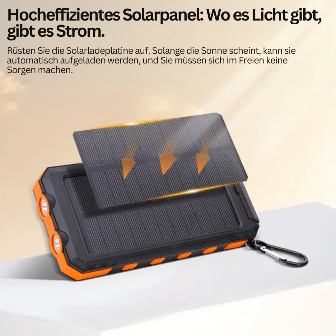 Miniatuur 6